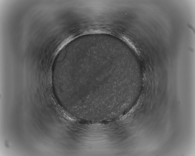 X0000096421173200802141627