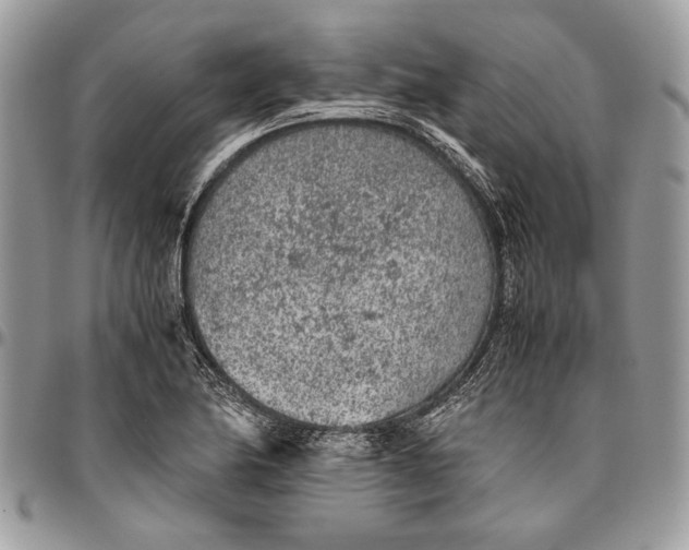 X0000096421174200802141627