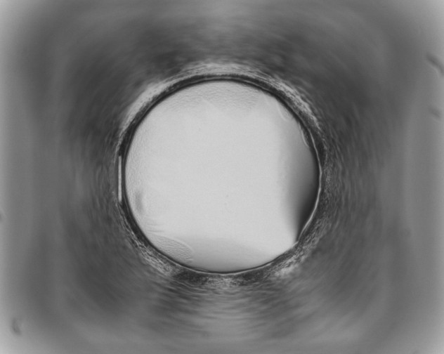 X0000096421175200802141627