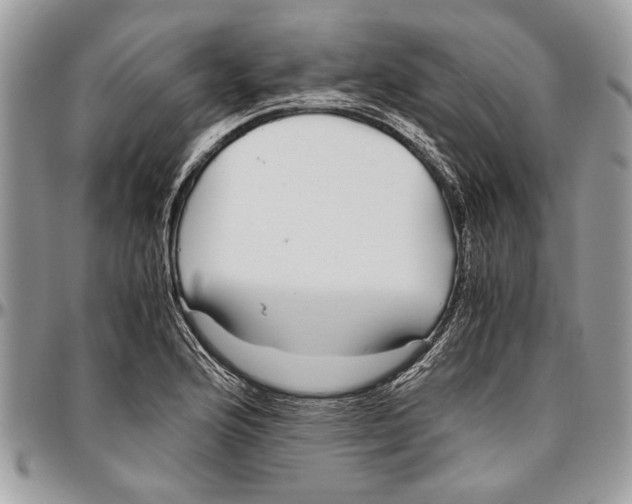 X0000096421176200802141627