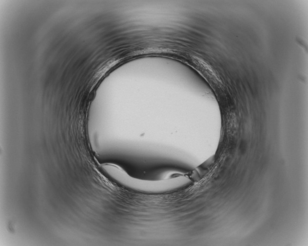 X0000096421177200802141627