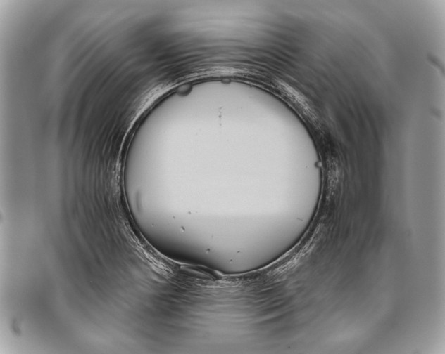 X0000096421178200802141627