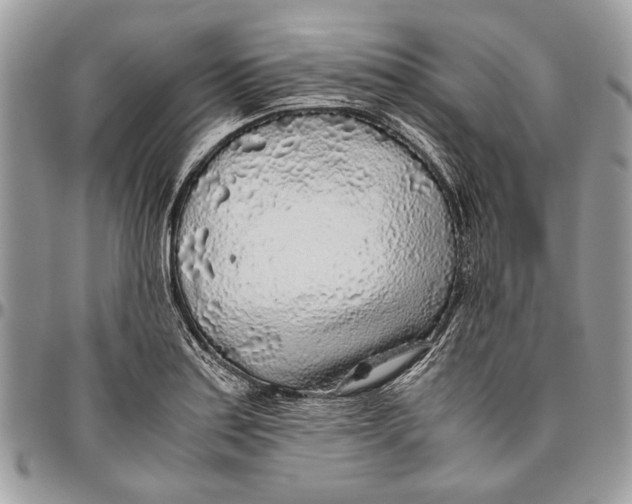 X0000096421179200802141626