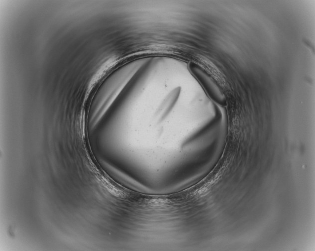 X0000096421180200802141626