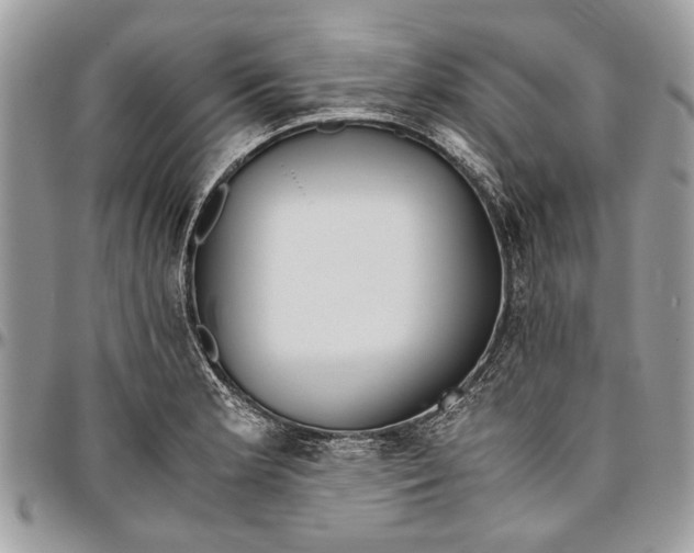 X0000096421181200802141626