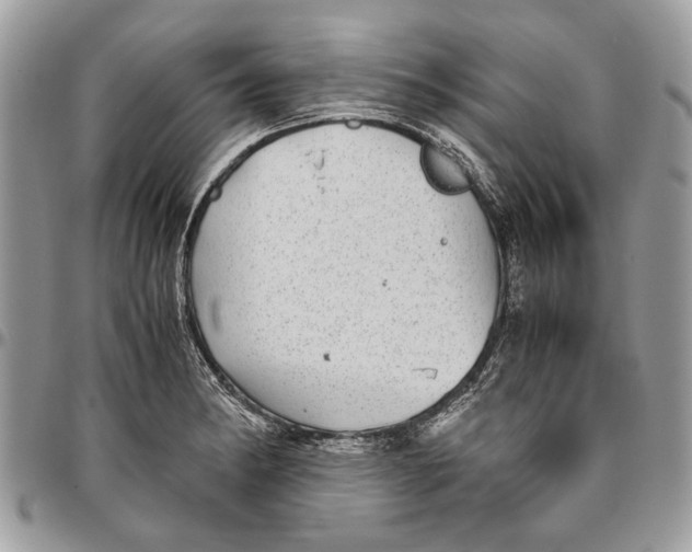 X0000096421182200802141626