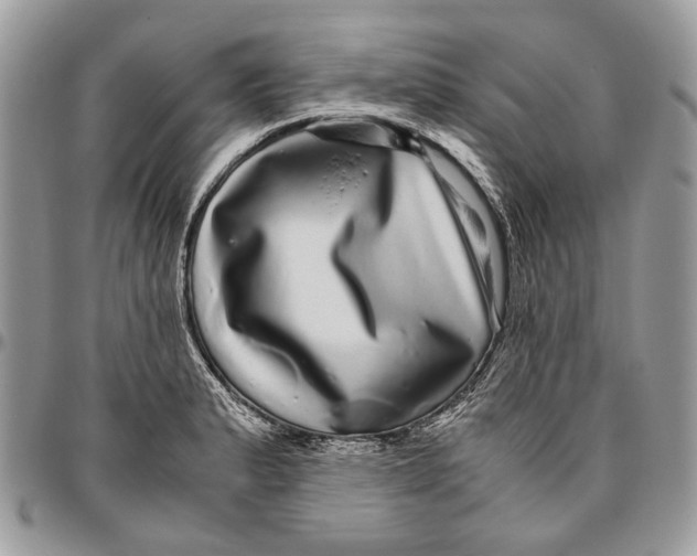 X0000096421183200802141626