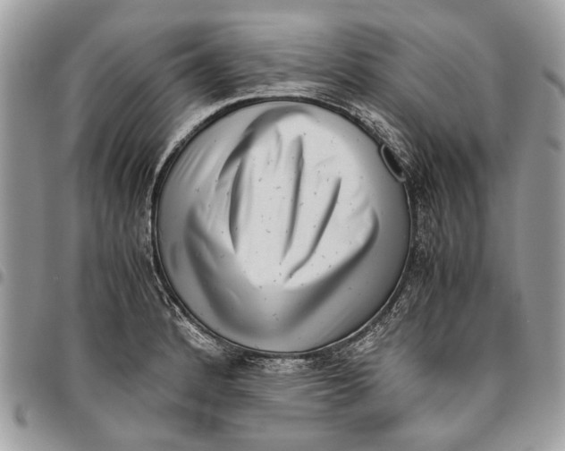 X0000096421184200802141626