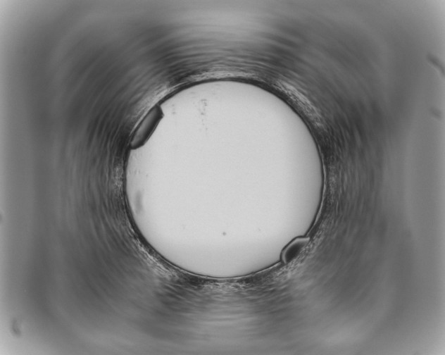 X0000096421185200802141626