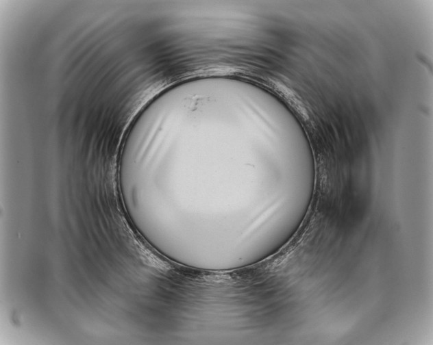 X0000096421186200802141626