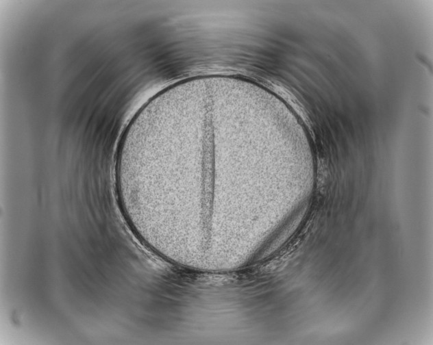 X0000096421187200802141626