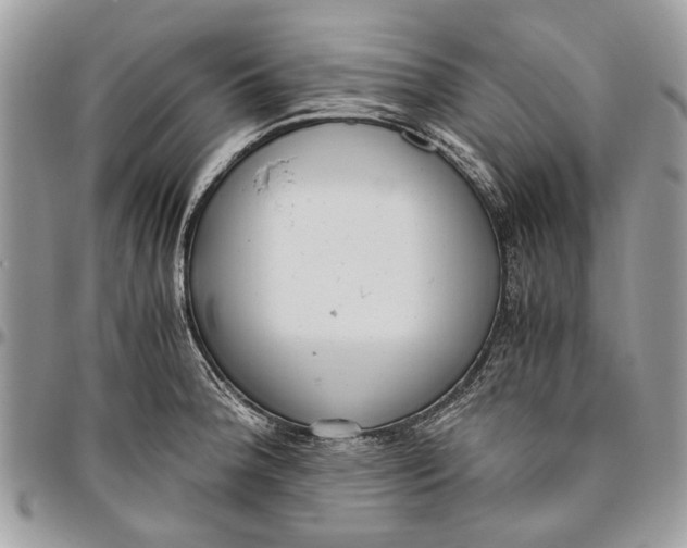 X0000096421188200802141626