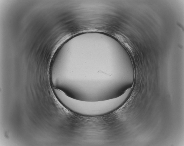 X0000096421189200802141626