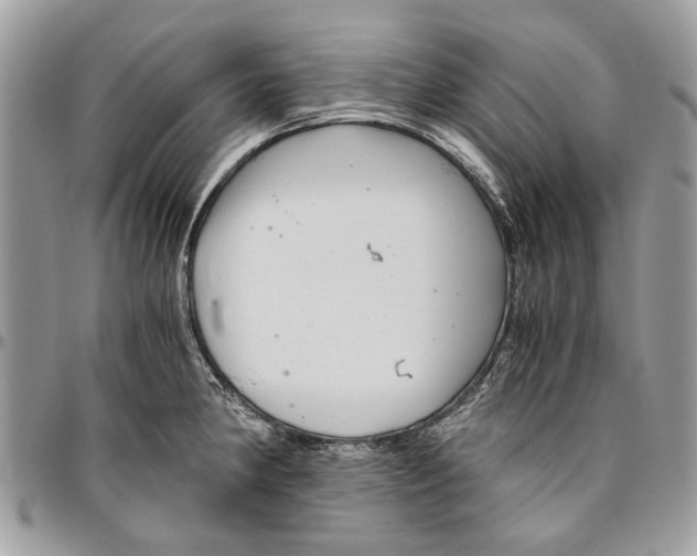 X0000096421190200802141626