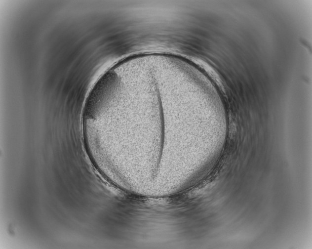 X0000096421191200802141626