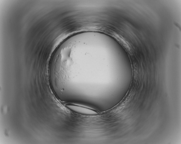 X0000096421192200802141626