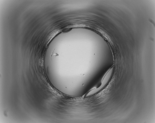 X0000096421193200802141626