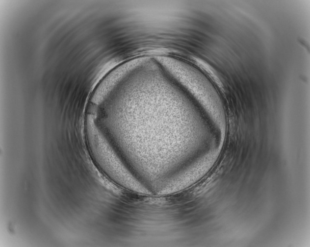 X0000096421194200802141626