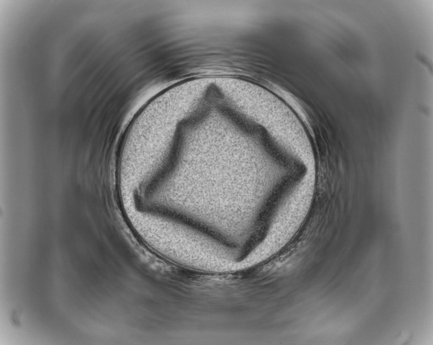 X0000096421195200802141626