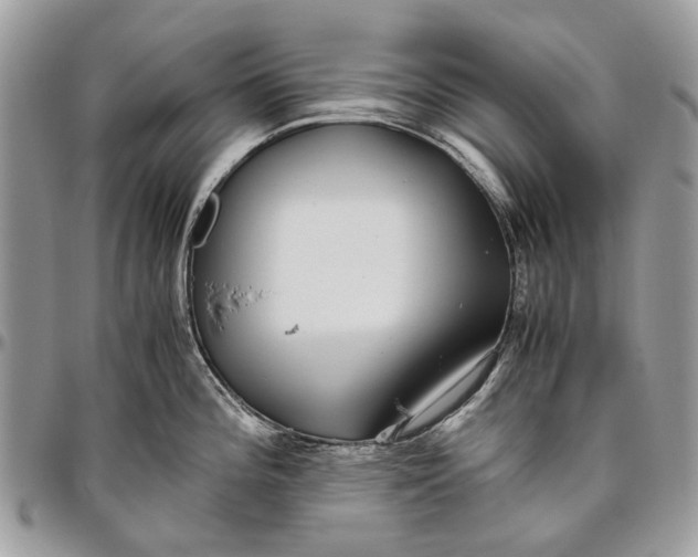 X0000096421196200802141626