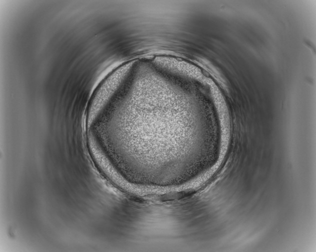 X0000096421198200802141626