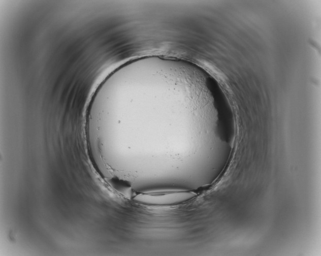 X0000096421200200802141626