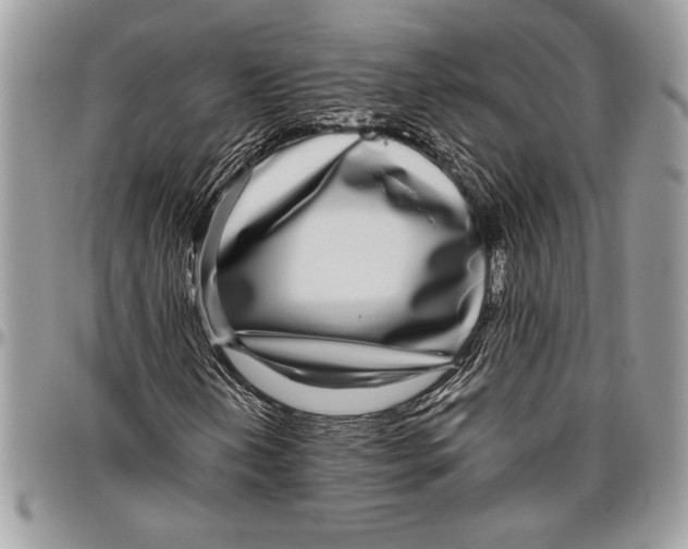 X0000096421202200802141626