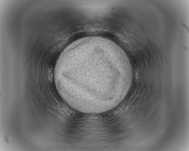 X0000096421204200802141626