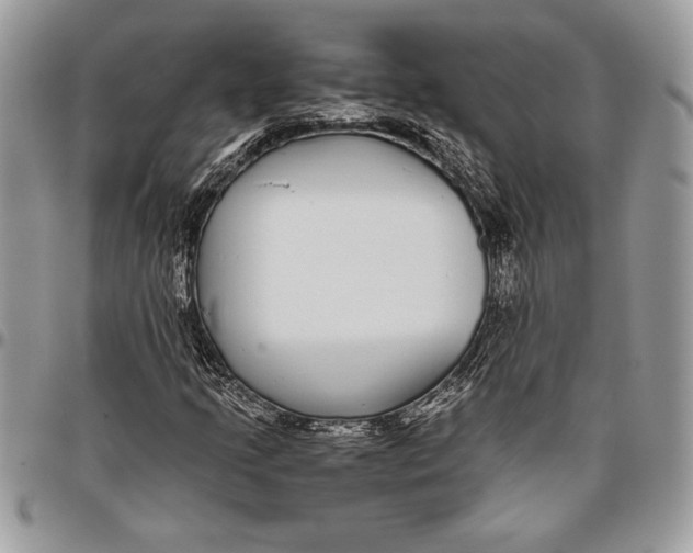 X0000096421205200802141626