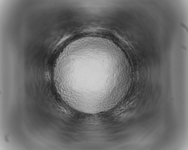 X0000096421206200802141626