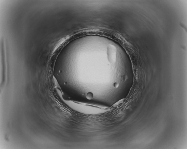 X0000096421208200802141626