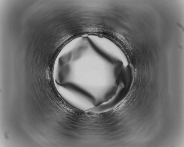 X0000096421209200802141626