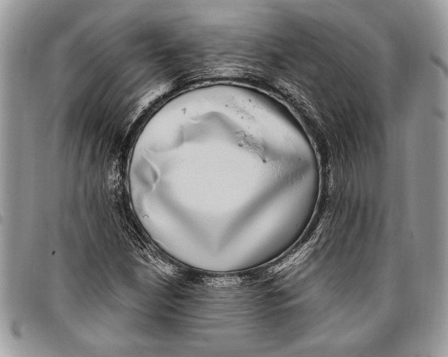 X0000096421210200802141626