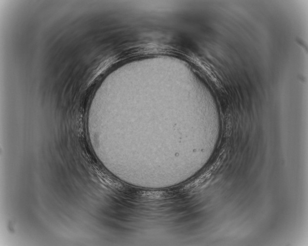 X0000096421211200802141626