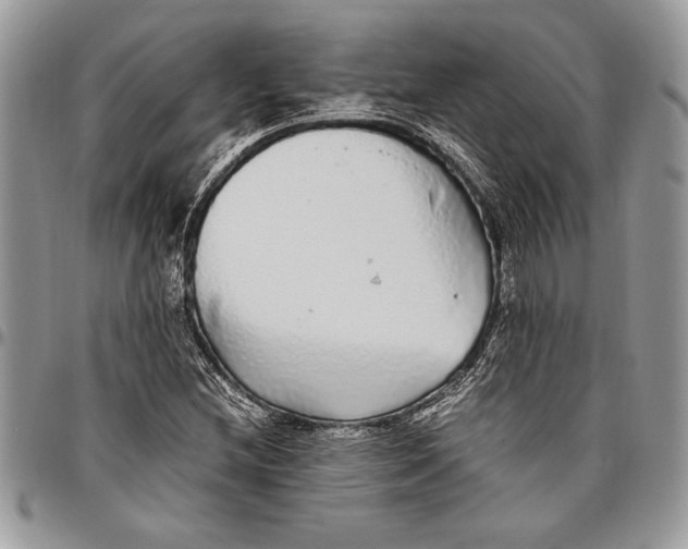 X0000096421212200802141626