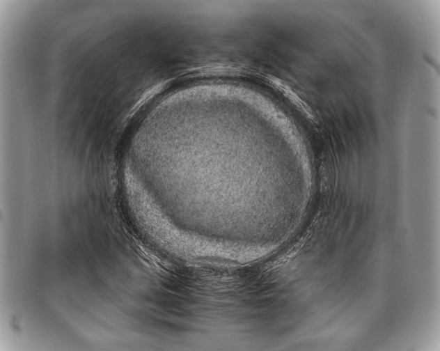 X0000096421213200802141626