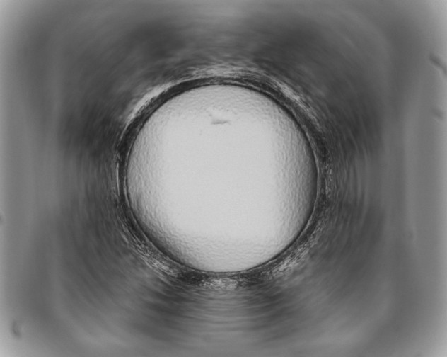 X0000096421214200802141626