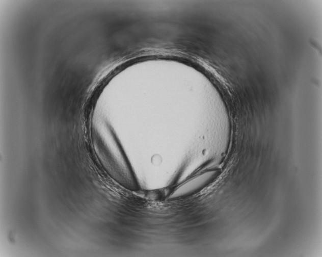 X0000096421215200802141626