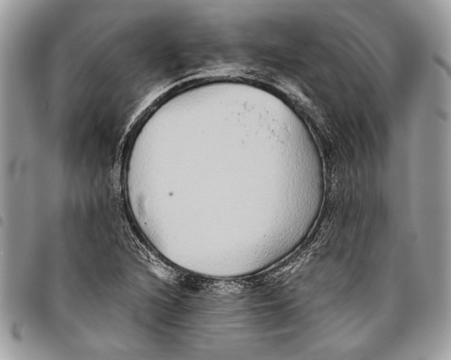 X0000096421216200802141626