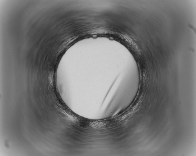 X0000096421217200802141626