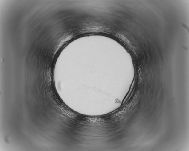 X0000096421218200802141626