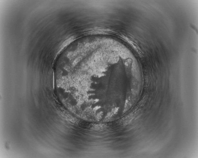 X0000096421219200802141626