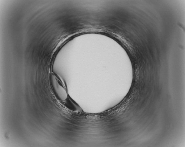 X0000096421220200802141626