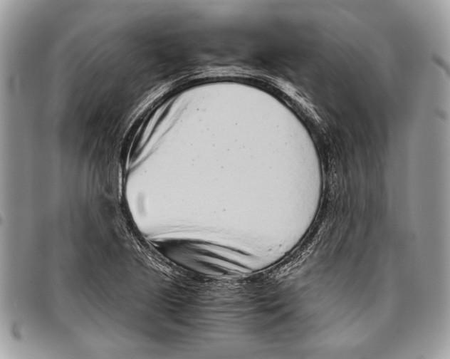 X0000096421221200802141626