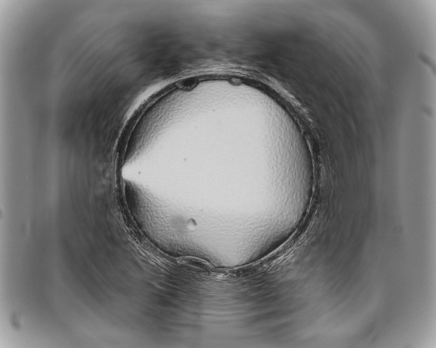 X0000096421222200802141626