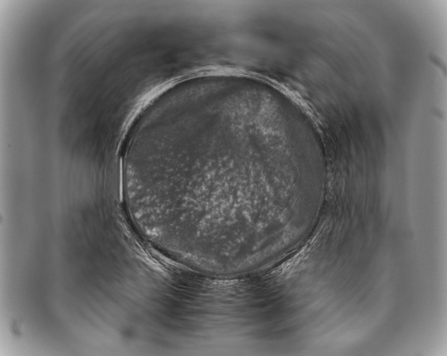 X0000096421223200802141626