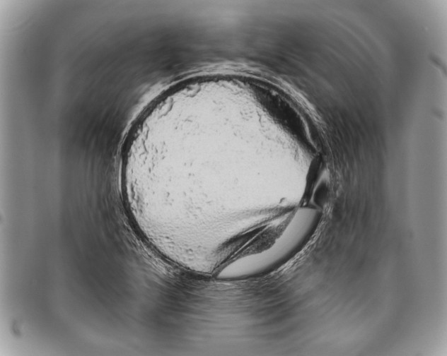 X0000096421224200802141626