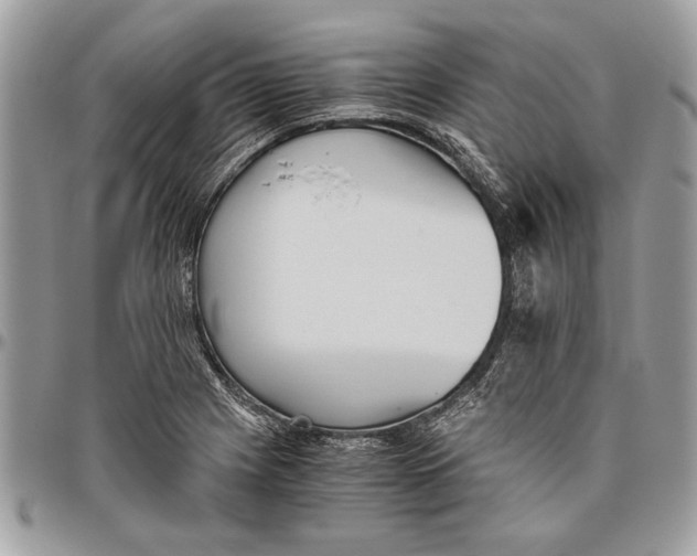 X0000096421225200802141626