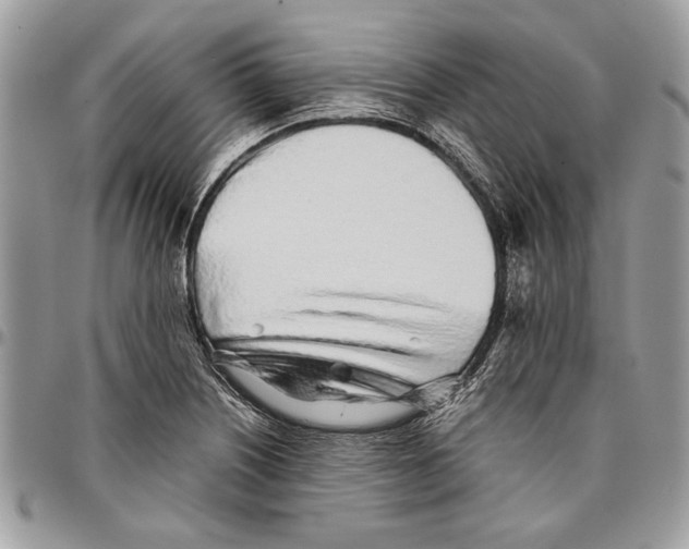 X0000096421226200802141626