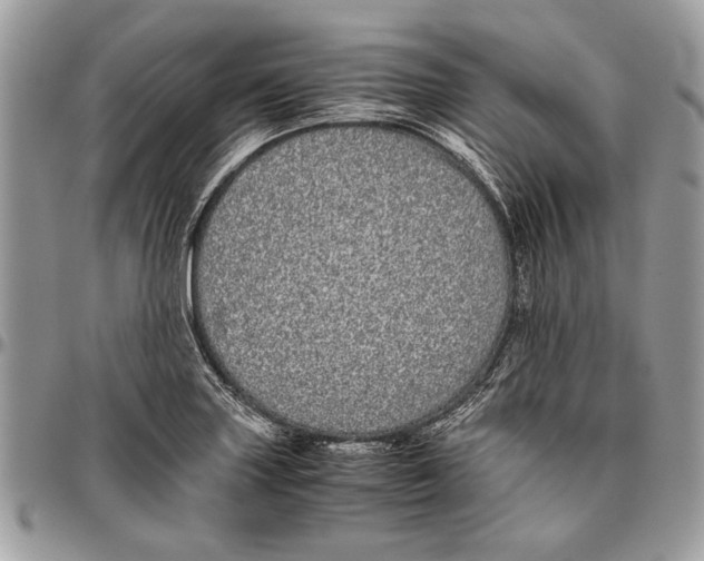 X0000096421227200802141626